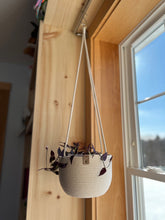 Load image into Gallery viewer, Botany Hanging Basket