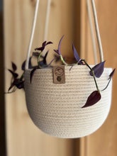Load image into Gallery viewer, Botany Hanging Basket
