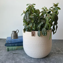 Load image into Gallery viewer, The Frond Planter