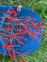 Load image into Gallery viewer, The Greenacre Basket